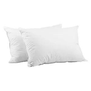 Giselle Bedding Goose Feather Down Pillow Twin Pack