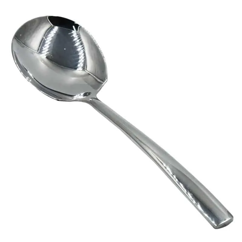 Stainless Steel Serving Spoon